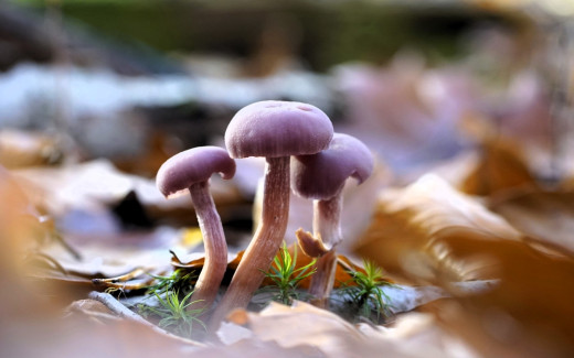 1754236 (a): :1920x1200